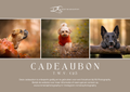 RS Photography Cadeaubon